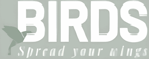 Birds Conseil